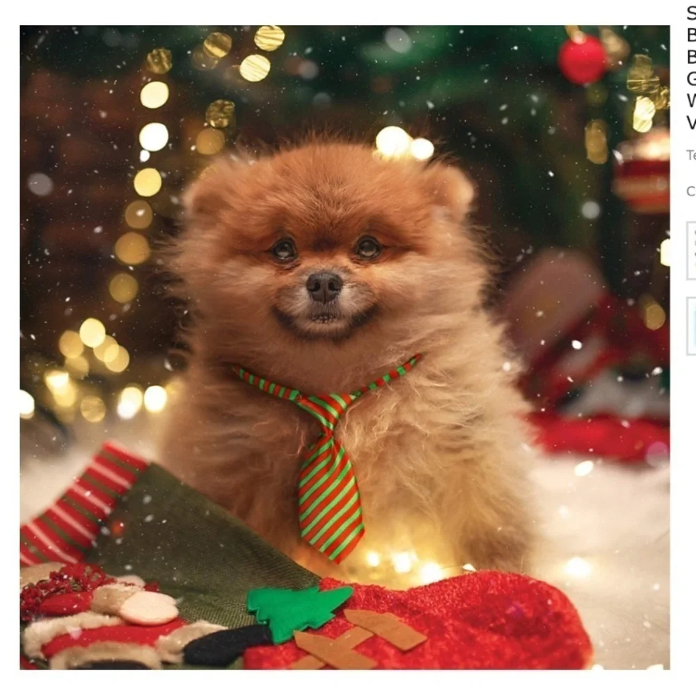 Christmas Necktie Pet Dog Collar for Dog Cat Clip Buckle Adjustable OS 1 Piece